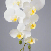 Élethű,fehér árnyalatú mű orchidea virág részlet.