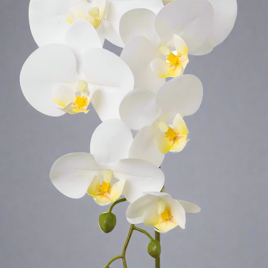 Élethű,fehér árnyalatú mű orchidea virág részlet.