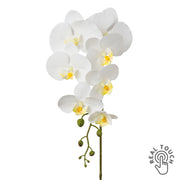 Fehér mű orchidea szál, Real Touch hatással, 86 cm magas.