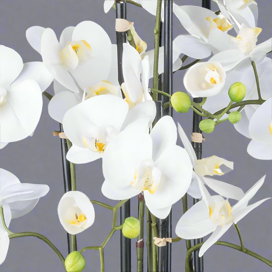 Real Touch fehér mű orchidea szirmok részletfotón.