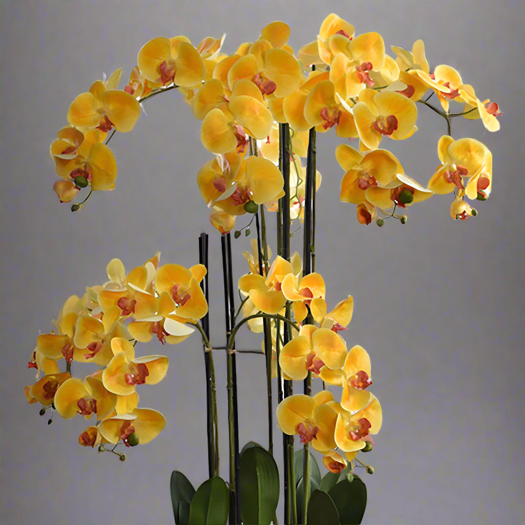 Extra magas, élethű sárga orchidea bimbókkal és levelekkel