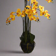 Dekoratív földlabdás sárga mű orchidea, Real Touch szirmokkal