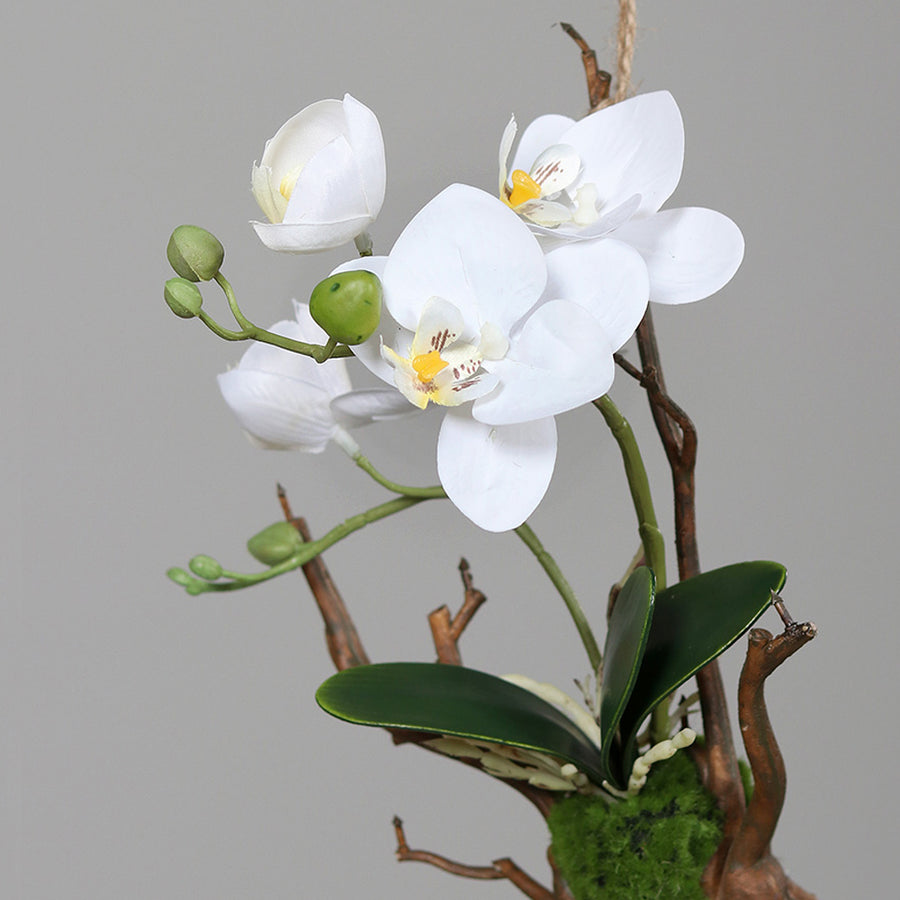 Részletfotó a fehér mű orchidea virágairól és zöld bimbóiró