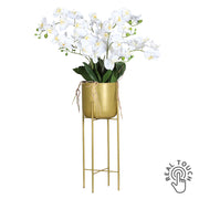 Krémszínű, 100 cm magas Real Touch mű orchidea aranyszínű állványos kaspóban.