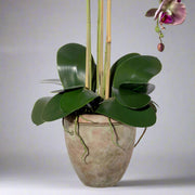 Élethű zöld levelek és gyökérimitáció terrakotta kaspóban.