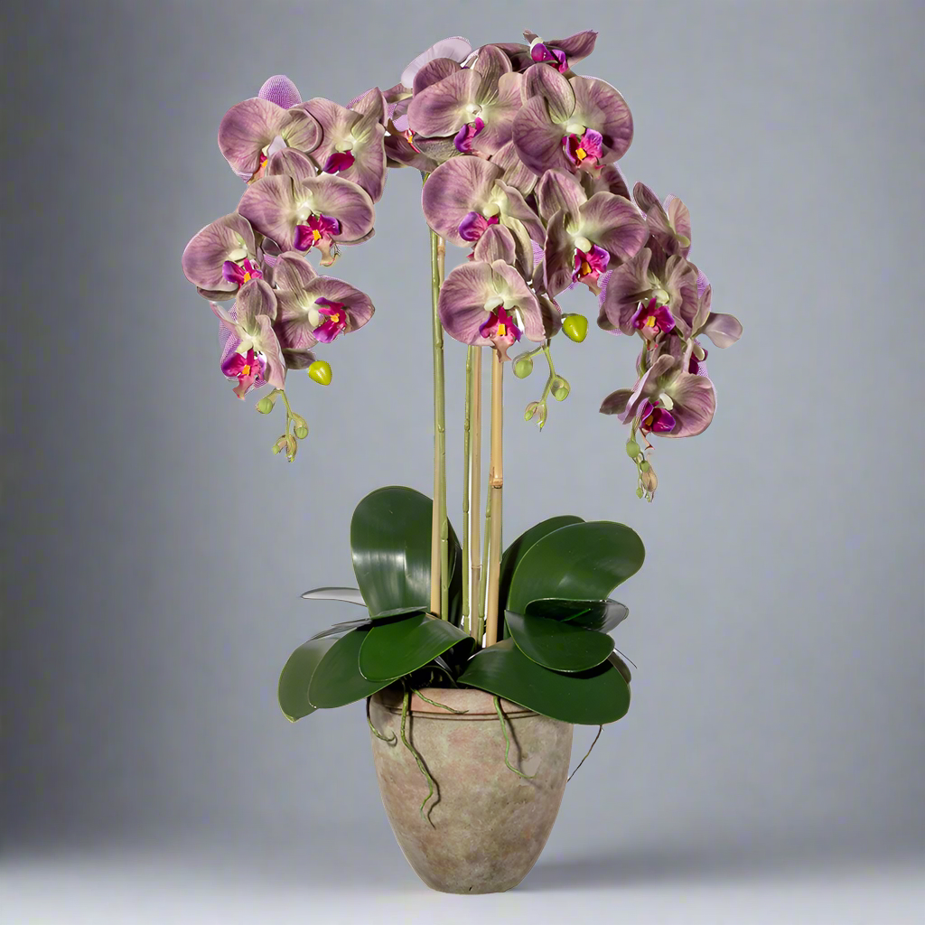 Lila, 75 cm magas mű orchidea terrakotta kaspóban.
