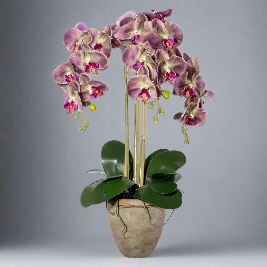 Lila, 75 cm magas mű orchidea terrakotta kaspóban.