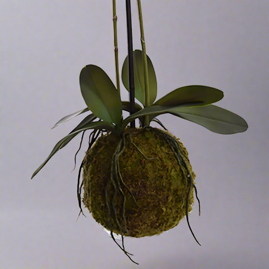 Real touch hatású, burgundi színárnyalatú mű orchidea mohalabdában