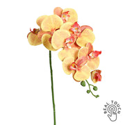 Narancssárga mű orchidea szál, Real Touch hatással, 96 cm magas.