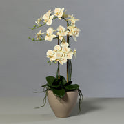 Púderszínű cserepes mű orchidea 70 cm magas dekoráció nappaliba vagy irodába