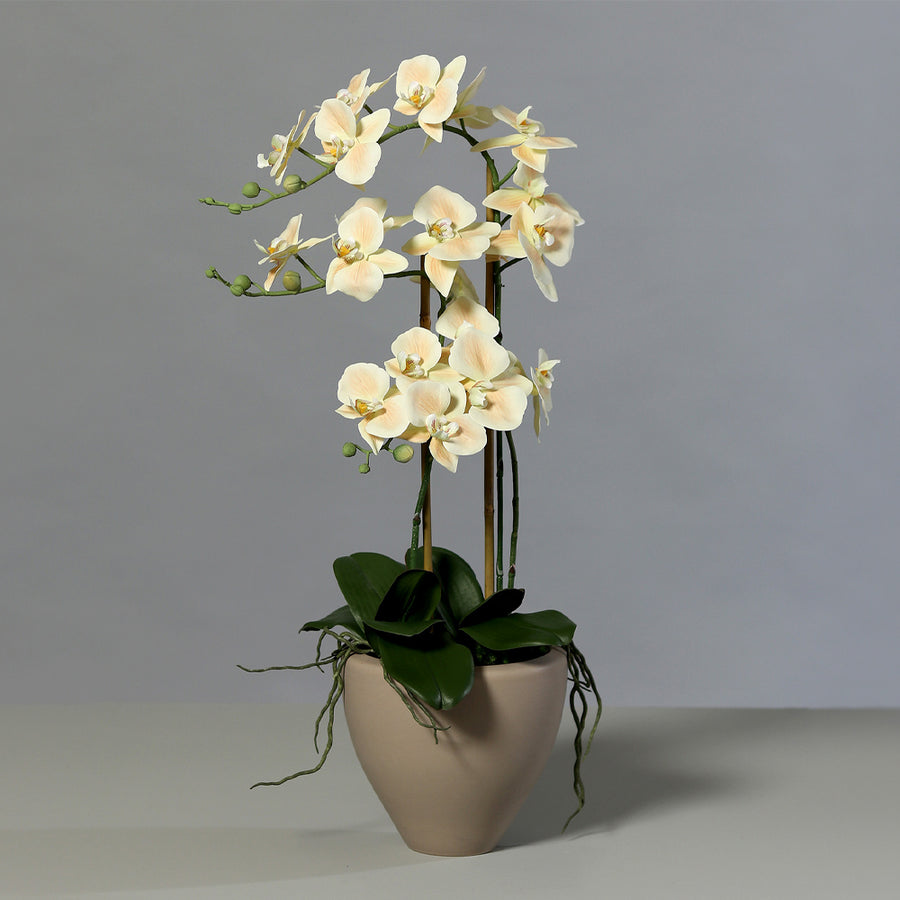 Púderszínű cserepes mű orchidea 70 cm magas dekoráció nappaliba vagy irodába