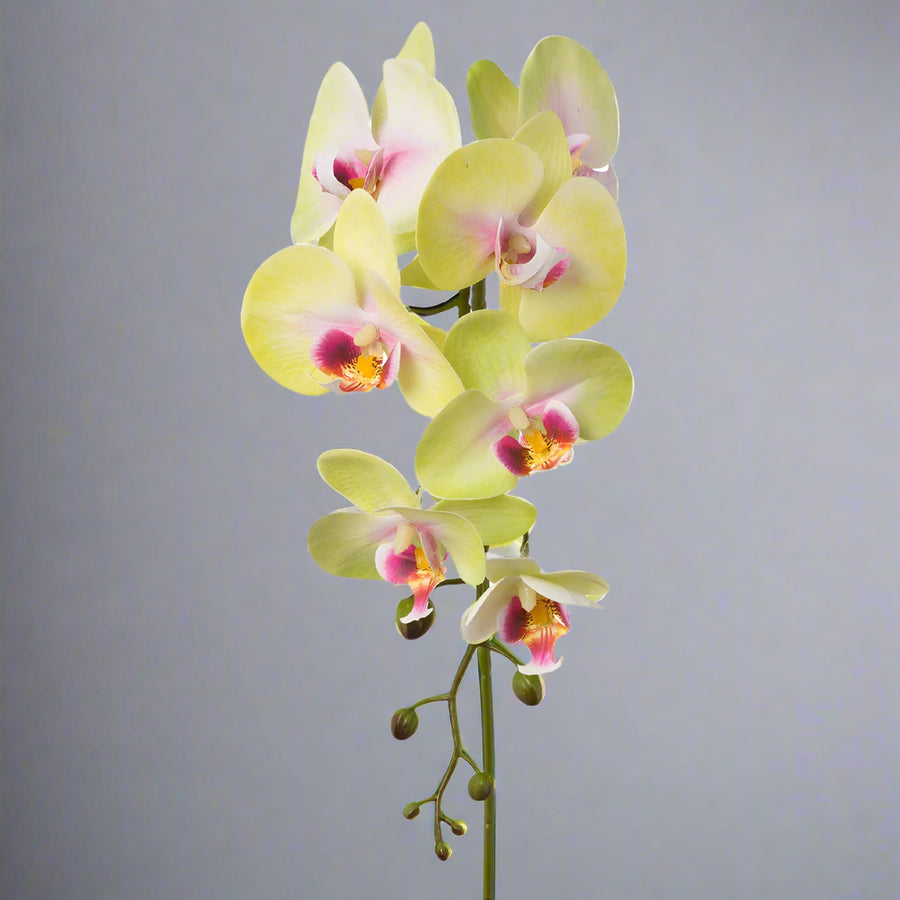 Hosszú szárú, Real Touch hatású zöldes pink mű orchidea.