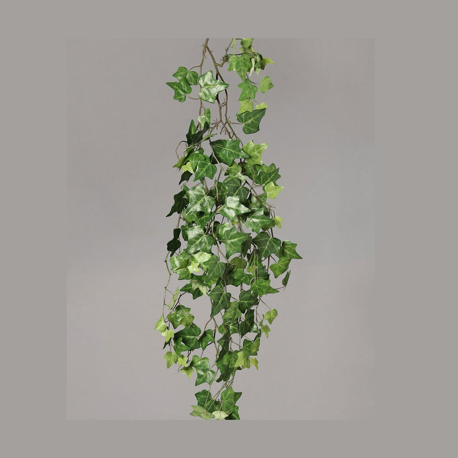 Zöld színű borostyán csüngő műnövény.