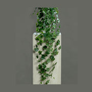 Zöld színű borostyán csüngő műnövény.