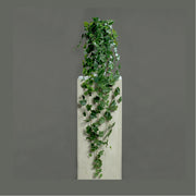 Zöld színű borostyán csüngő műnövény.