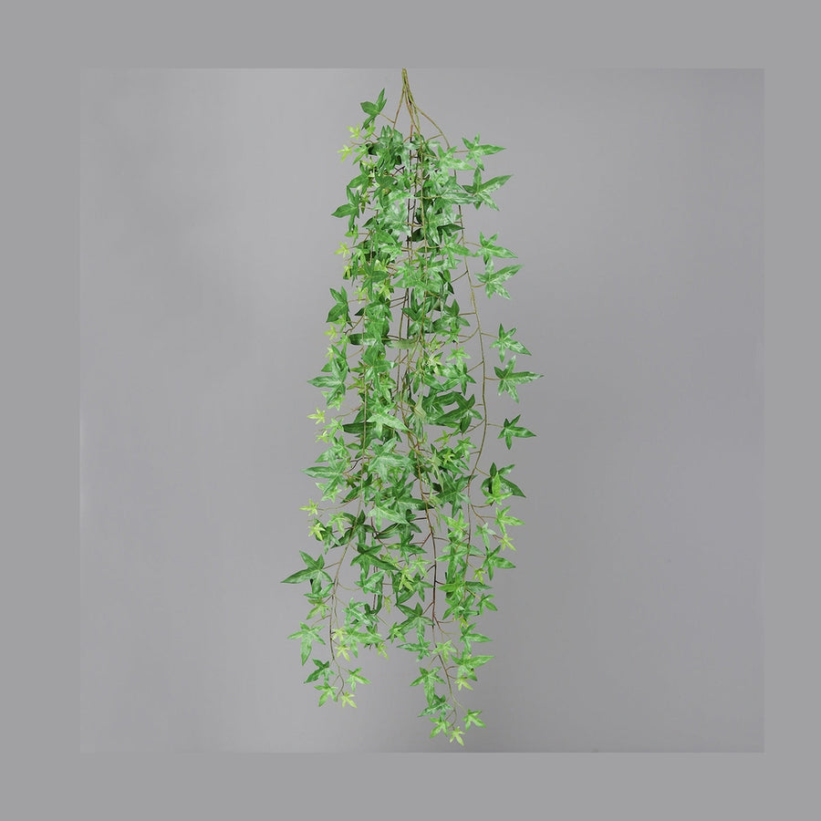 Zöld színű borostyán csüngő műnövény.