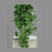 Zöld színű borostyán csüngő műnövény.