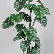 Mű filodendron növény, fekete műanyag cserépben.