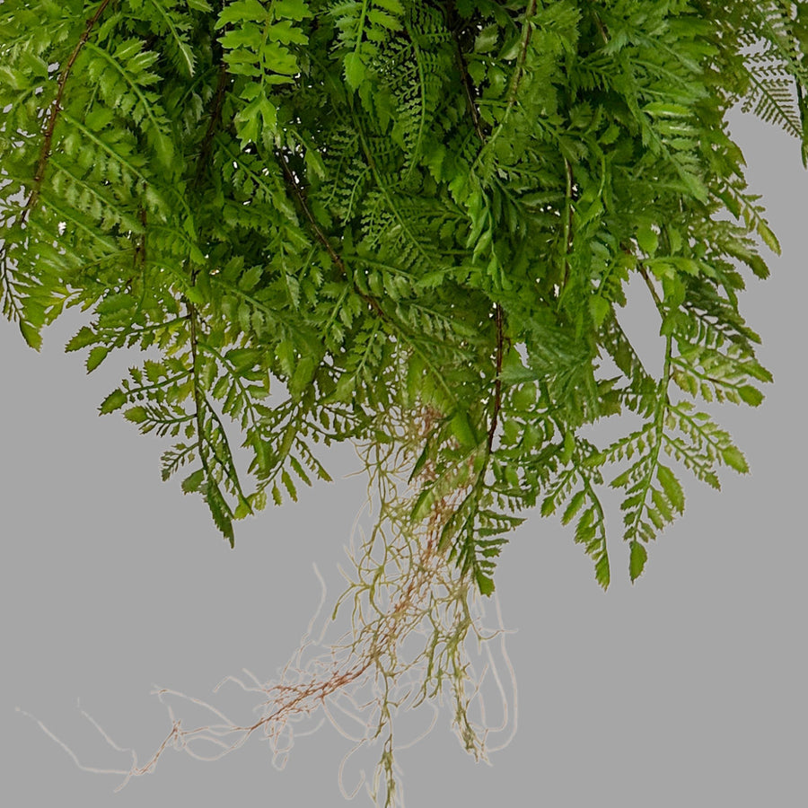 Nagy páfránylabda műnövény .