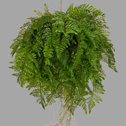 Nagy páfránylabda műnövény .