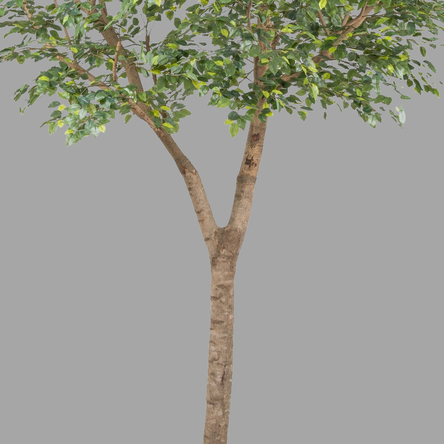 Óriás méretű mű fikusz fa.