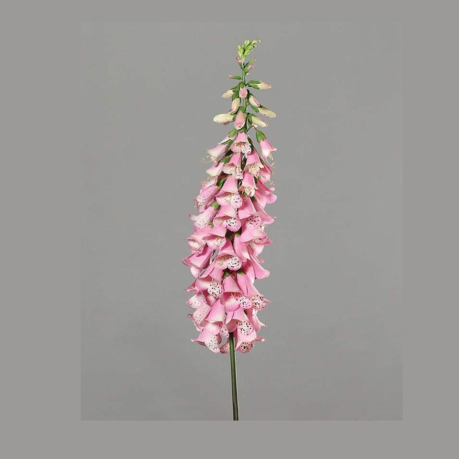 Óriás mű gyűszűvirág 120 cm pink "Digitalis"