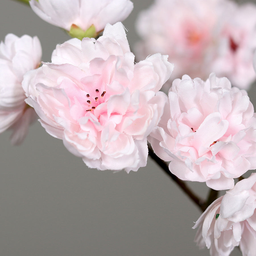 Virágzó mű cseresznyefa ág, halvány rózsaszín színű nyílt és bimbós virágokkal.