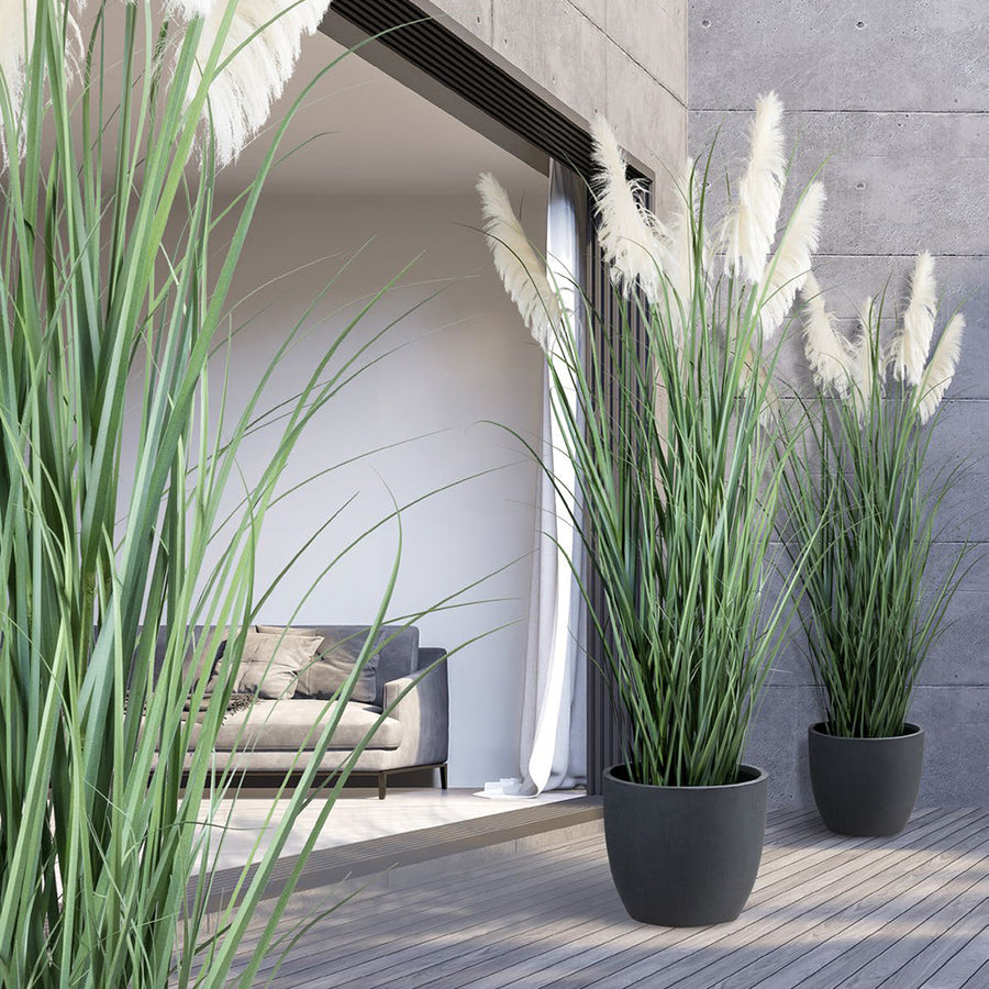 Mű pampafű, fekete műanyag kaspóban.