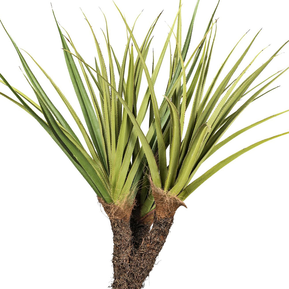 Pandanus tectorius mű csavarpálma leveleinek és részletgazdag törzsének közeli fotója.