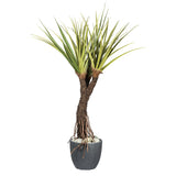 Pandanus tectorius mű csavarpálma dekor kaspóban, valósághű gyökerekkel és levelekkel.