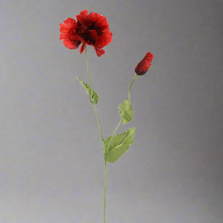 Bordó színű, pipacs művirág.