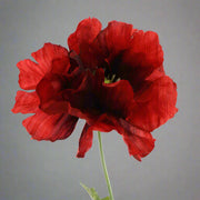 Bordó színű, pipacs művirág.