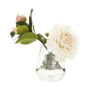 Prémium minőségű, krém színű, bazsarózsa illatú parfümös tearózsa kompozíció díszdobozban