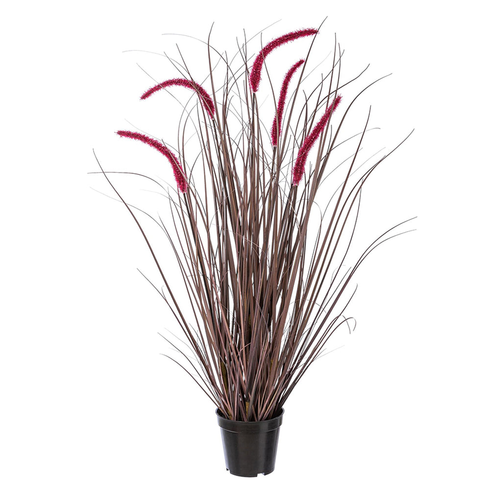 PENNISETUM padlizsán mű tollborzfű bokor 89 cm fekete kaspóban