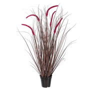PENNISETUM padlizsán mű tollborzfű bokor 89 cm fekete kaspóban