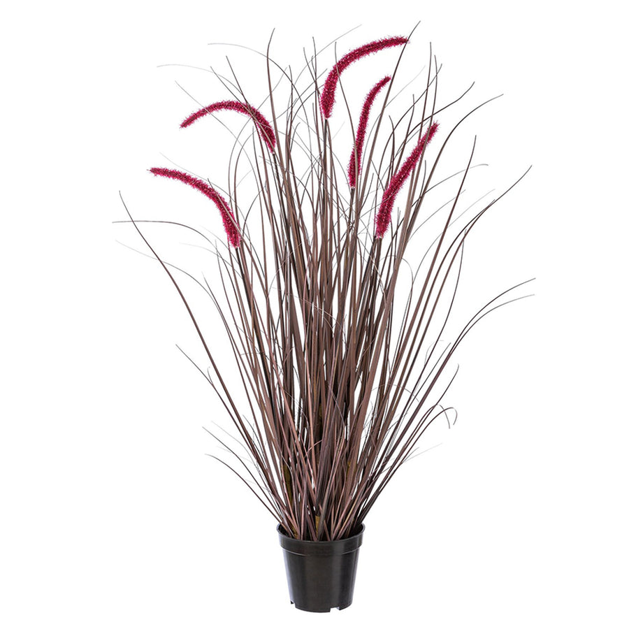 PENNISETUM padlizsán mű tollborzfű bokor 89 cm fekete kaspóban