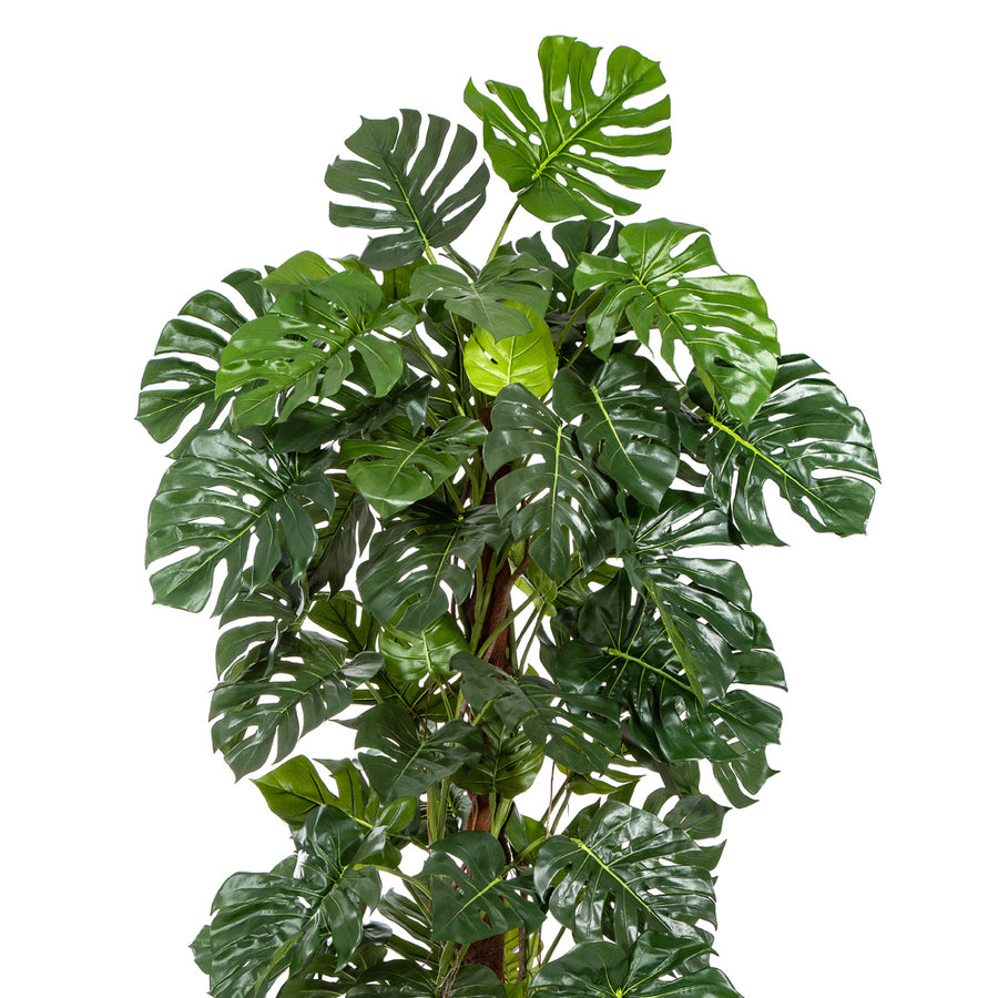 Mesterséges filodendron dús, mélyzöld levelei közelről, különböző méretben.