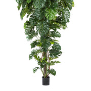 Mesterséges trópusi filodendron dísznövény részletgazdag levelekkel.