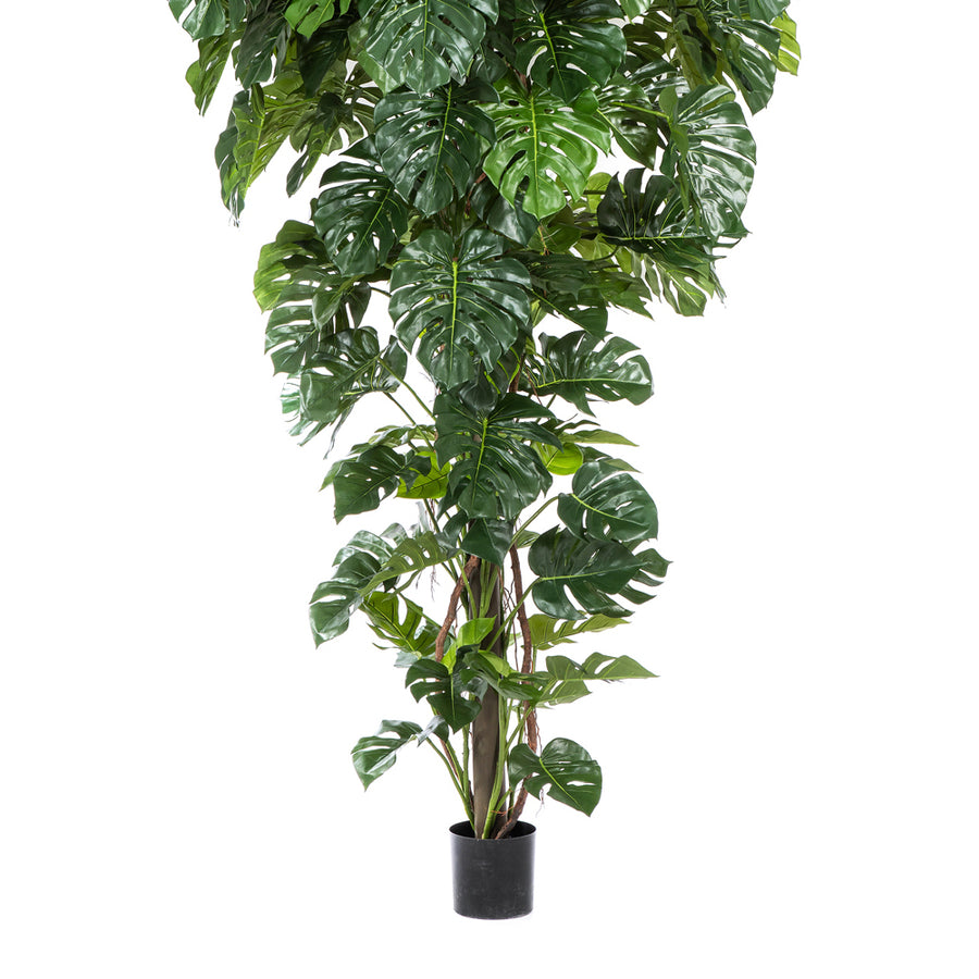 Mesterséges trópusi filodendron dísznövény részletgazdag levelekkel.