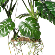 Mű filodendron levelek és indák közelről, realista kidolgozással.