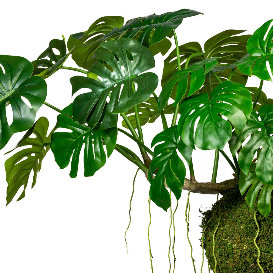Függeszthető mű filodendron kompozíció.