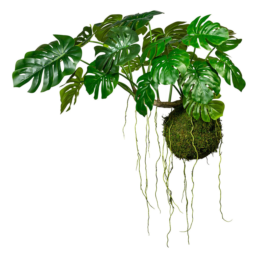 Függeszthető mű filodendron kompozíció.