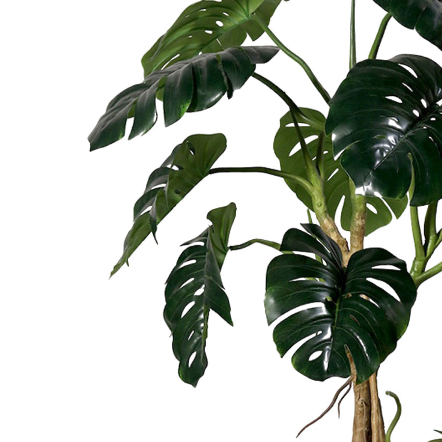 Részletfotó légzőgyökerekkel és valósághű levelekkel rendelkező mű filodendronról.