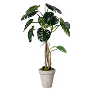 160 cm magas, élethű mű filodendron fekete ültetőcserépben.