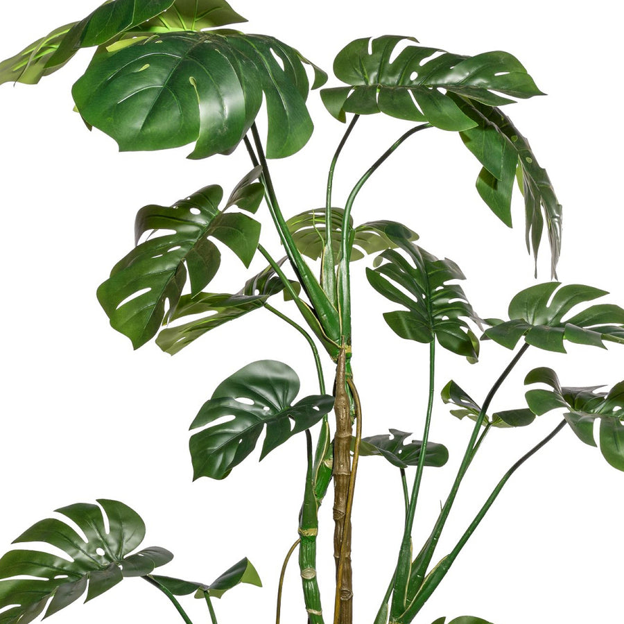 Részletfotó a mű filodendron dús zöld leveleiről.