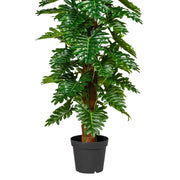 Filodendron műnövény részletfotó, különböző méretű fényes zöld levelekkel.