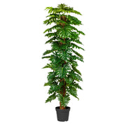 Élethű, 190 cm magas mű filodendron fekete cserépben, nagy zöld levelekkel.