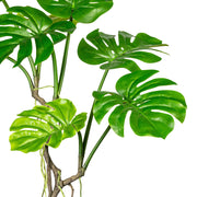 Mű filodendron levelek közelről, realista zöld színátmenetekkel.