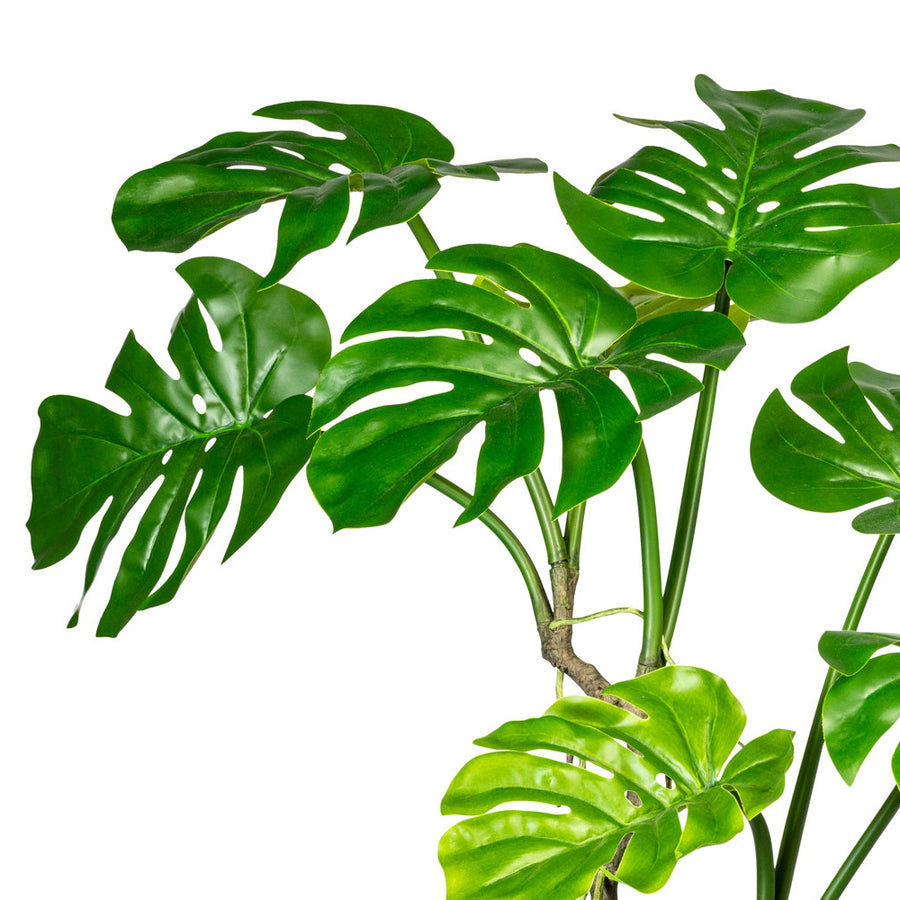 Nagyméretű osztott mű filodendron levelek részletfotó.