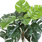 Filodendron műnövény nagy, szeldelt zöld levelekkel közelről, természetes fényű felülettel